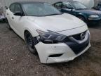 NISSAN - MAXIMA