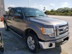 FORD - F-150