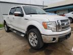 FORD - F-150