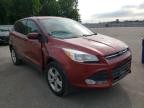 FORD - ESCAPE