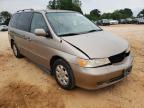 HONDA - ODYSSEY