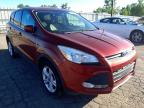 FORD - ESCAPE