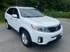 KIA - SORENTO