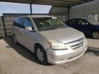 HONDA - ODYSSEY
