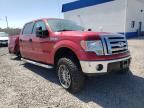 FORD - F-150