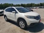 HONDA - CRV