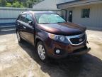 KIA - SORENTO