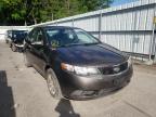 KIA - FORTE