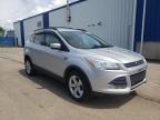 FORD - ESCAPE