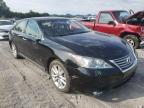 LEXUS - ES350