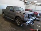 FORD - F-150