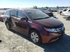 HONDA - ODYSSEY