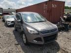 FORD - ESCAPE