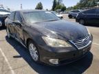 LEXUS - ES350
