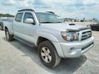 TOYOTA - TACOMA