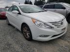 HYUNDAI - SONATA