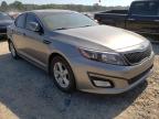 KIA - OPTIMA