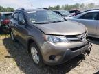 TOYOTA - RAV4