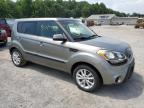 KIA - SOUL