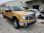 FORD - F-150