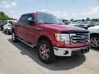 FORD - F-150