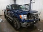 FORD - F-150