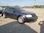 DODGE - AVENGER