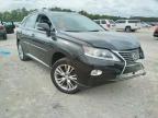 LEXUS - RX350