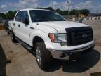 FORD - F-150