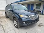 KIA - SORENTO