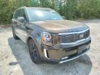 KIA - TELLURIDE