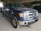 FORD - F-150