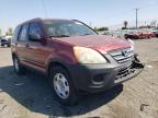 HONDA - CRV