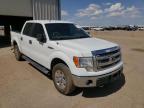 FORD - F-150