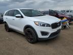 KIA - SORENTO