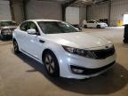 KIA - OPTIMA