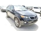 KIA - SORENTO