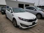KIA - OPTIMA