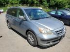 HONDA - ODYSSEY