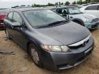 HONDA - CIVIC