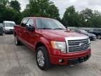 FORD - F-150