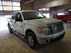 FORD - F-150