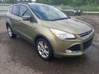 FORD - ESCAPE