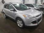 FORD - ESCAPE