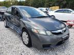HONDA - CIVIC