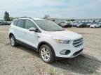 FORD - ESCAPE