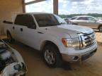 FORD - F-150