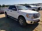 FORD - F-150