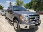 FORD - F-150