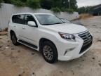 LEXUS - GX